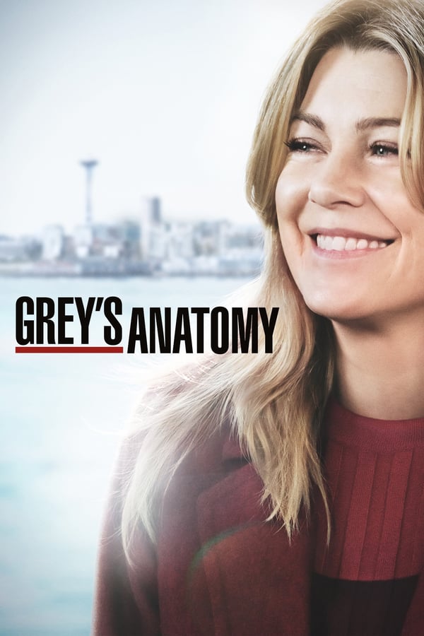 Grey’s Anatomy Saison 6